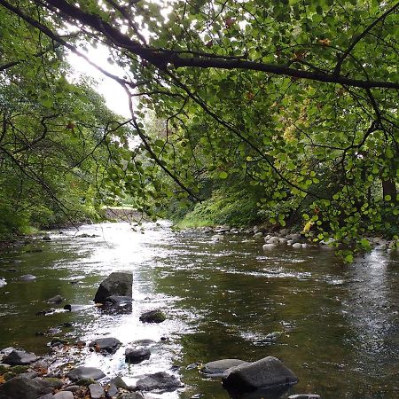 Entre Thur Et Montagne Panzió Willer-sur-Thur Kültér fotó